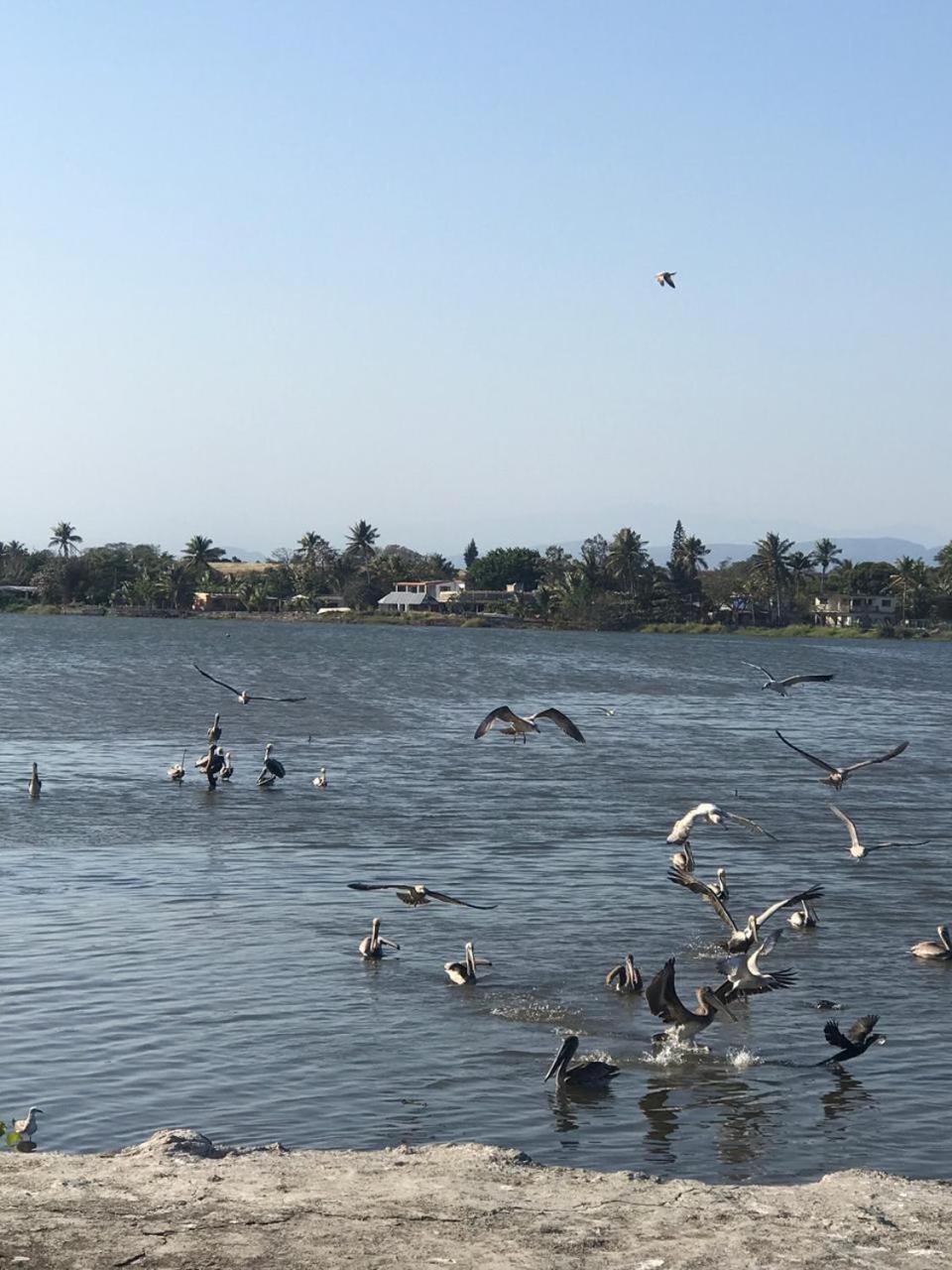Hotel El Faro Playa Chachalacas 外观 照片